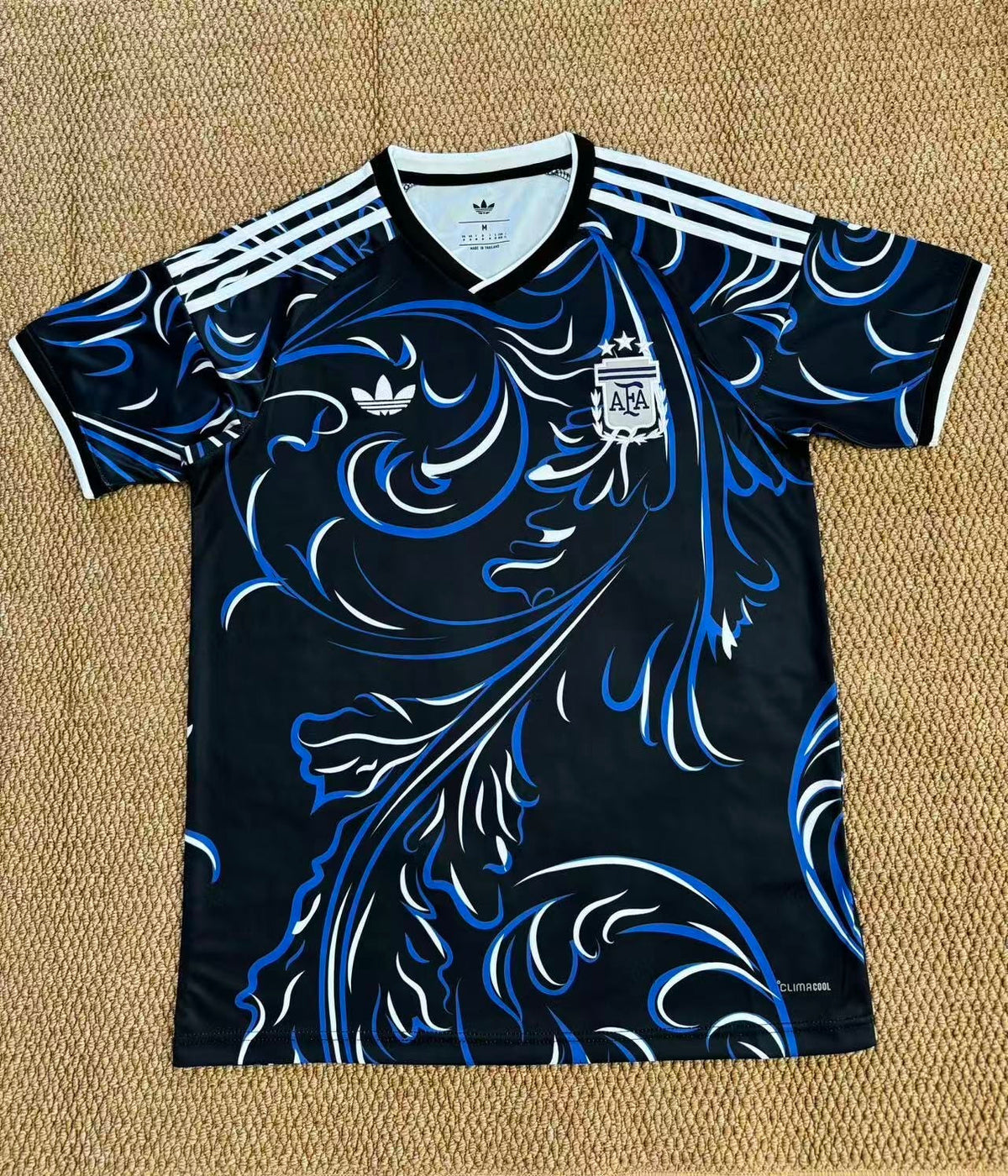 ARGENTINA 2026