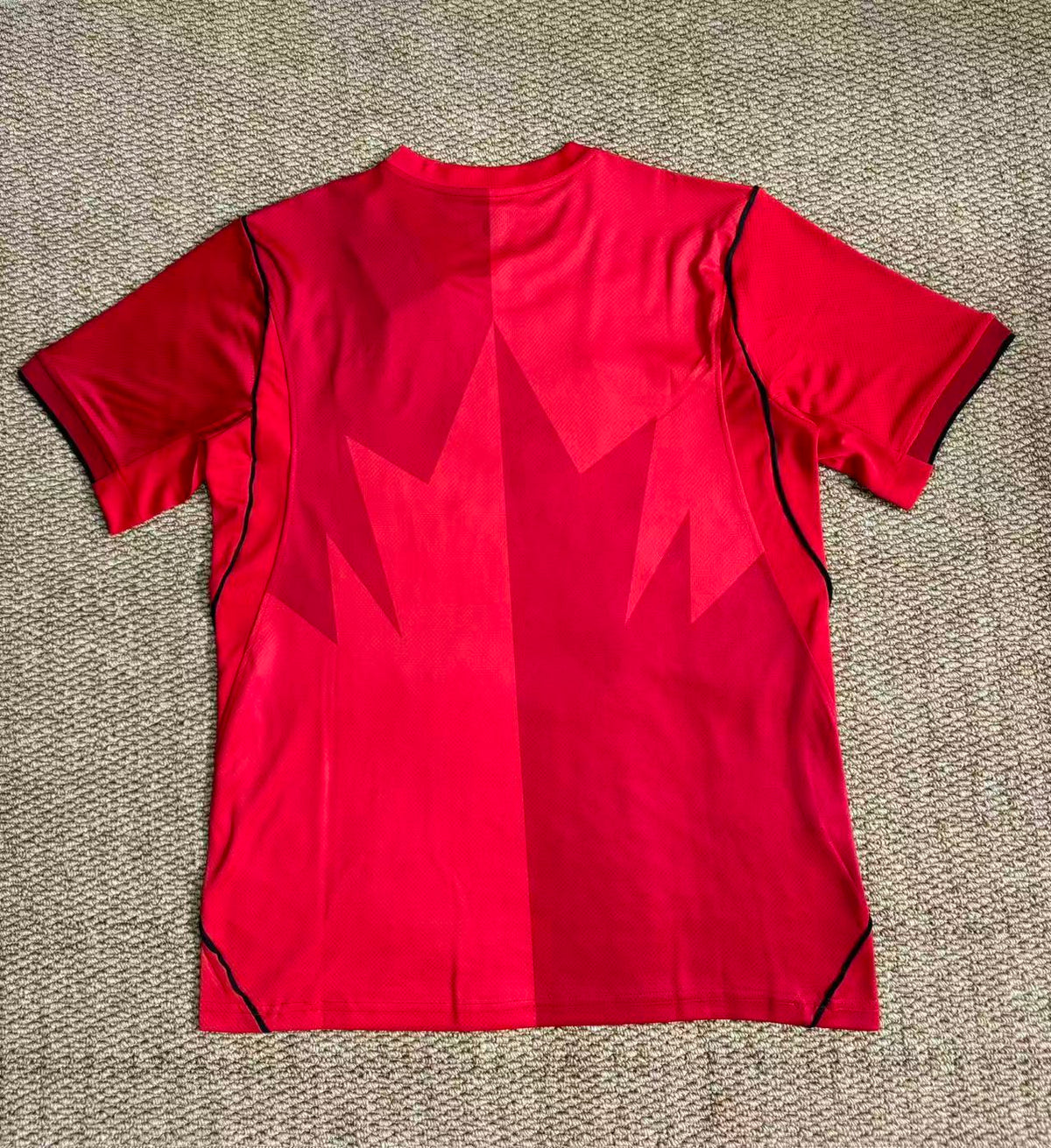 CANADA HOME 2026