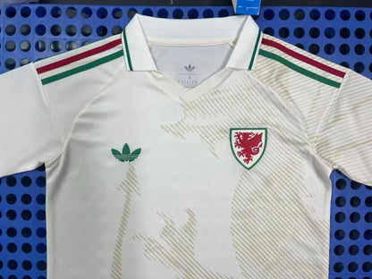 WALES AWAY 2026